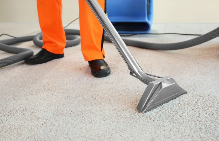 carpet cleaning portland