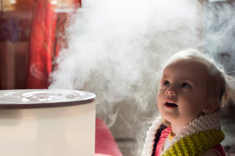 Understanding why do you need a humidifier?